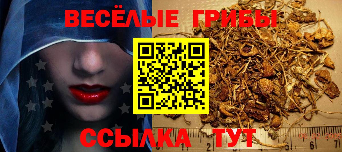 Псилоцибиновые грибы Cubensis  Вход с VPN  Псилоцибиновые грибы мухоморы  Саки 